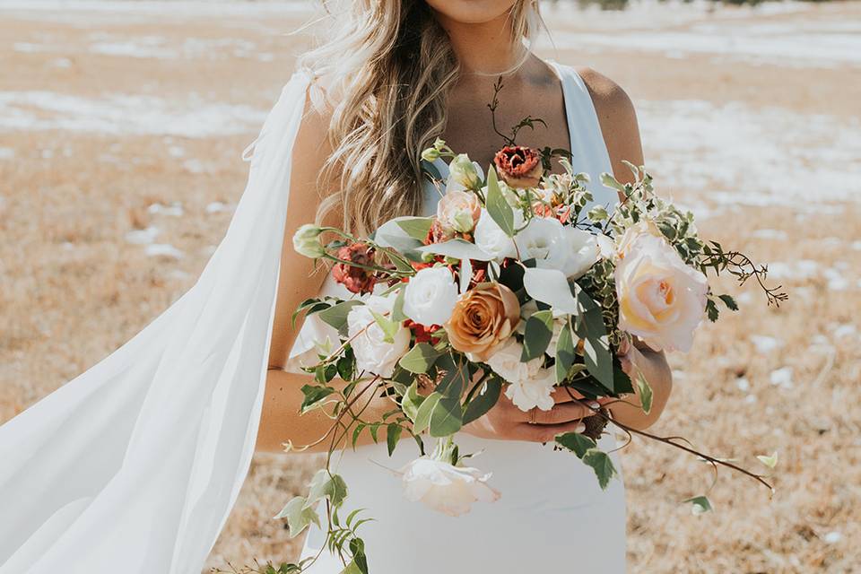 Colorado Bride