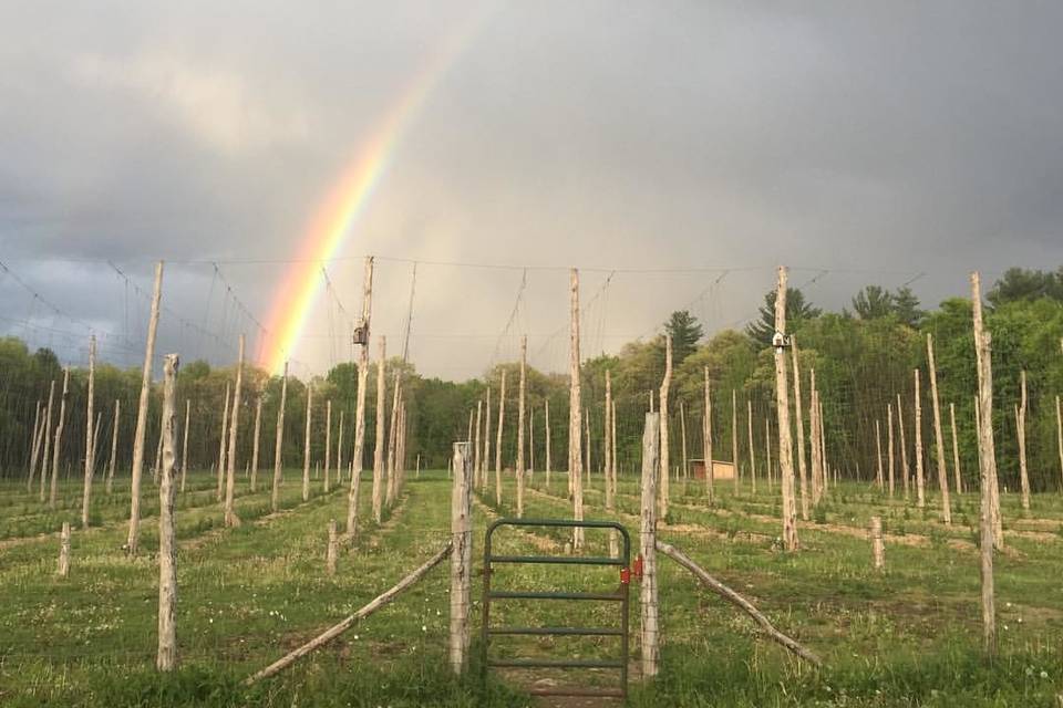 Arrowood Farms - rainbow