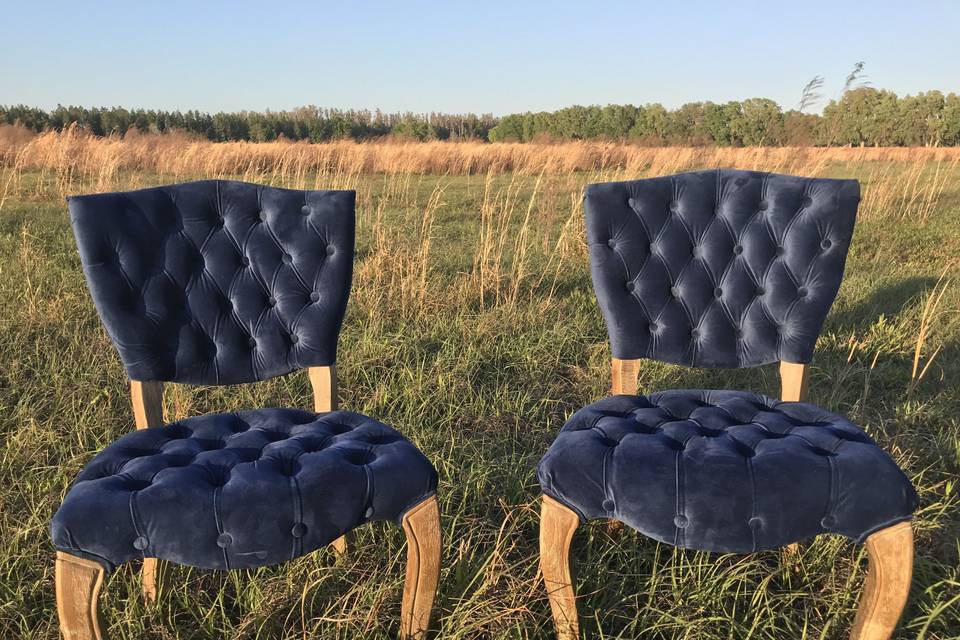 Navy blue tufted chairs
