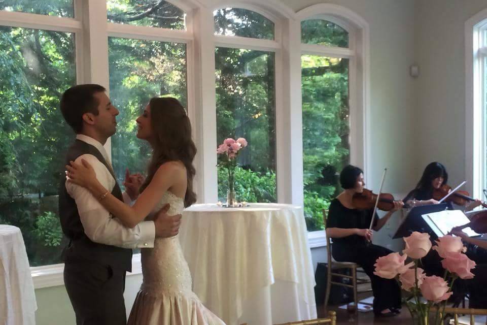 First Dance to Can't Help Falling in Love played by Lark Chamber Music quartet.