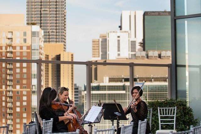 Lark Trio at Ventanas