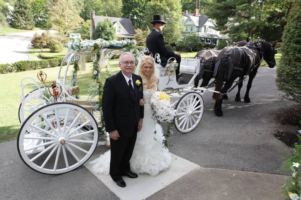 Blue Mountain Weddings