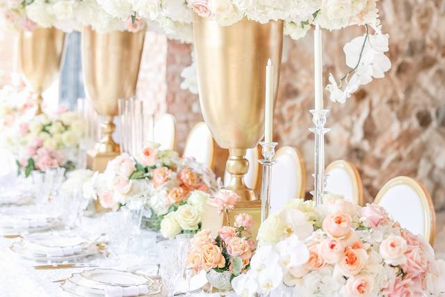 Nancy Pauline Photography