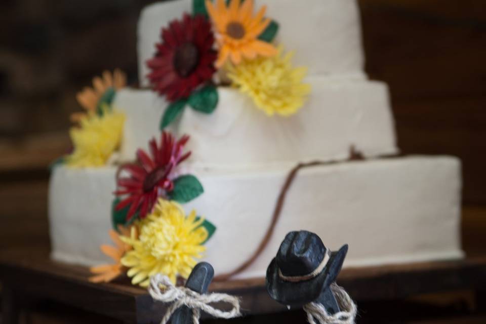 Country wedding topper