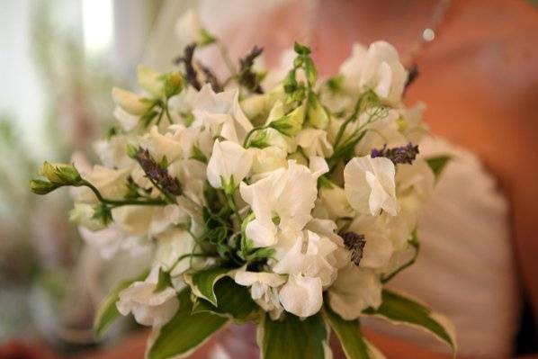 A beautiful bouquet of white sweet pea and hosta leaves