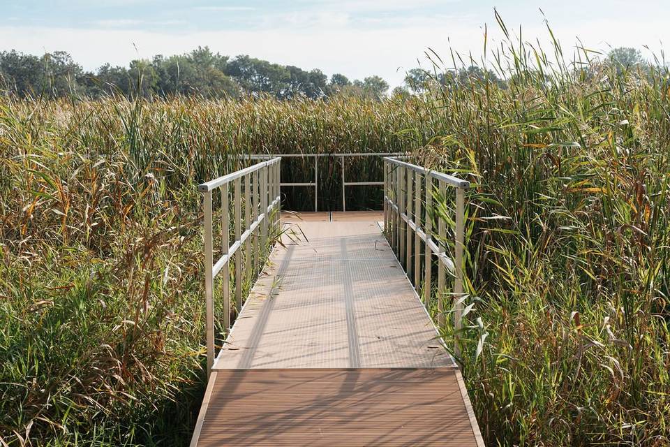 Dock