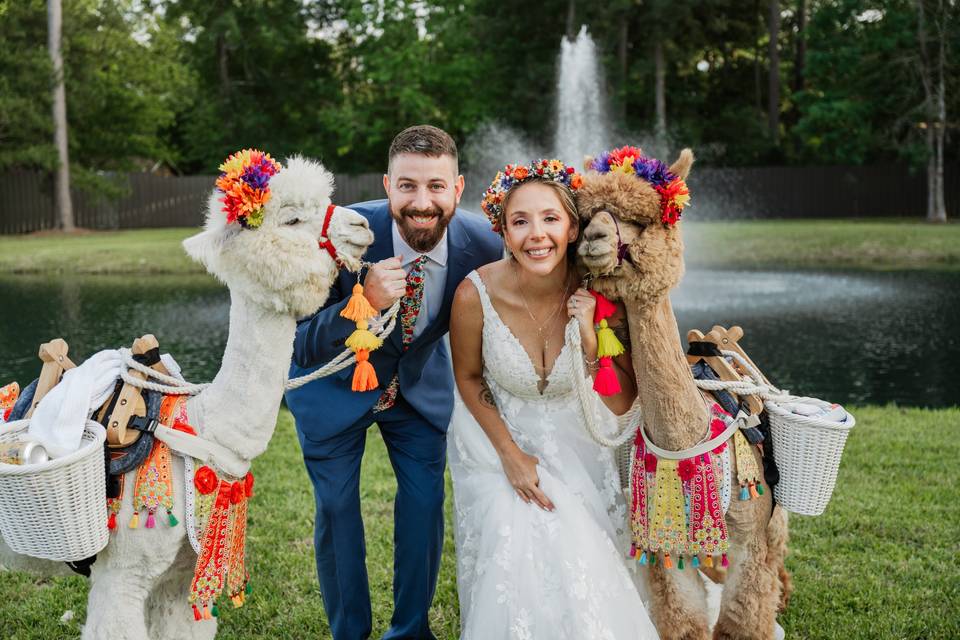 Bride and Groom