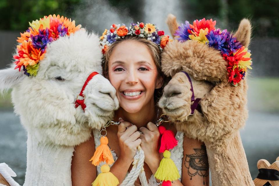 Bride and Friends