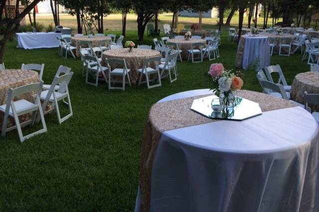 Table setup with centerpiece