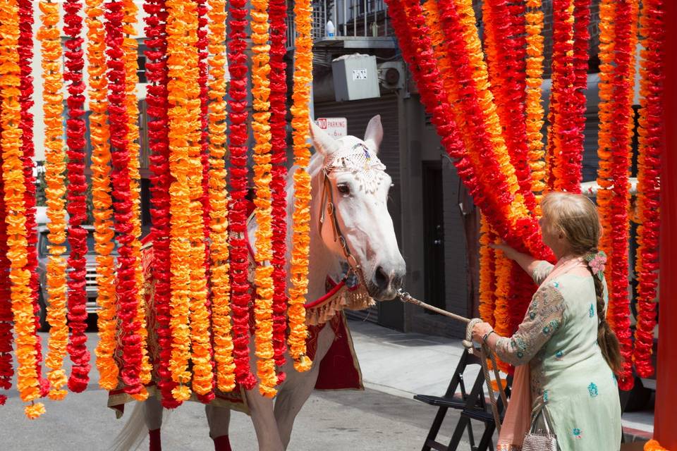 Baraat in Fern Alley