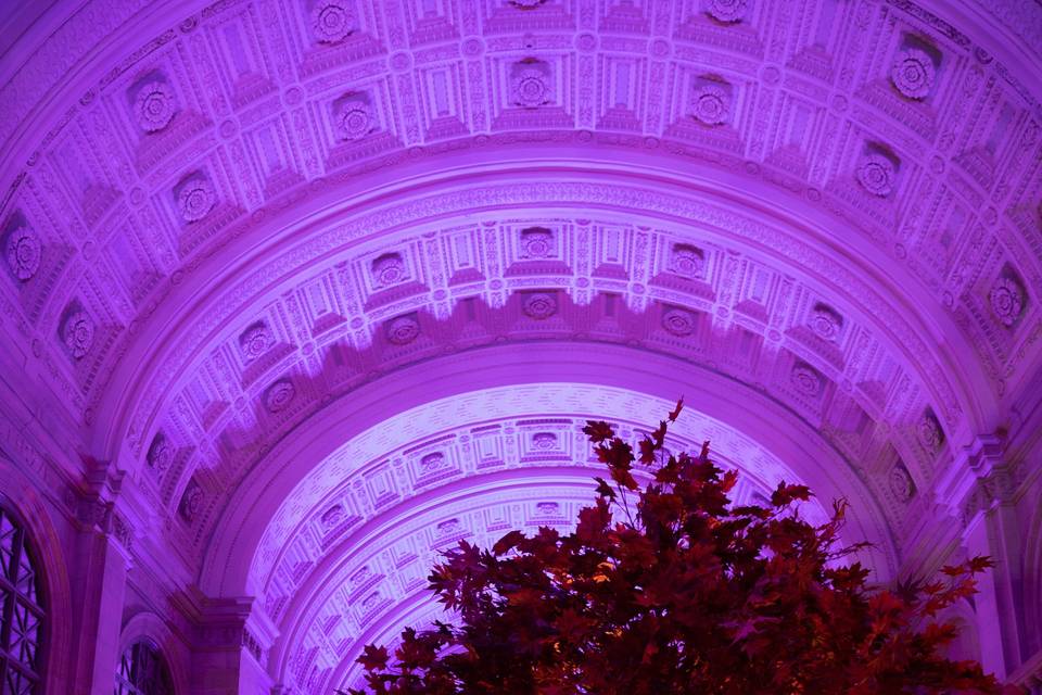 Jodi Raphael Events