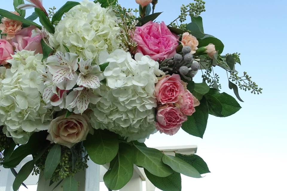 Beautiful floral closeup