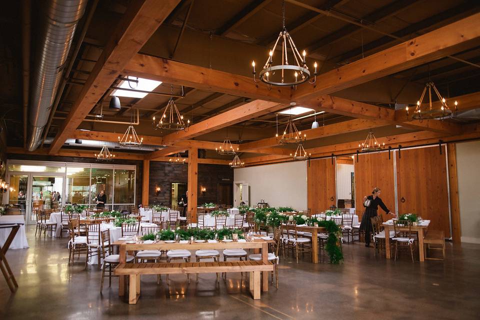 Vineyard wedding reception