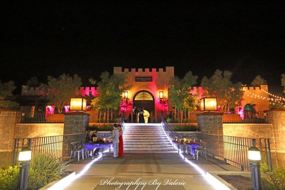 Uplighting on the castle