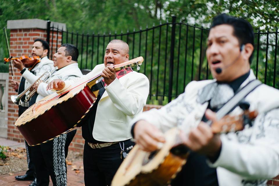 Mariachi