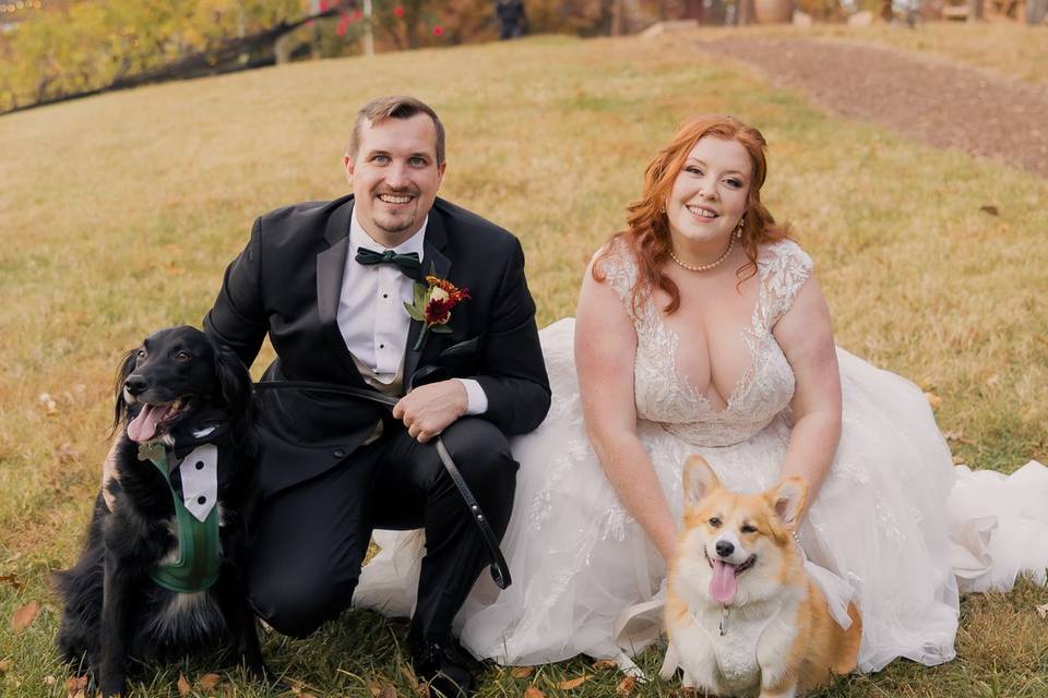 IMPACT Collective Weddings