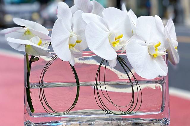 Phalaenopsis centerpiece
