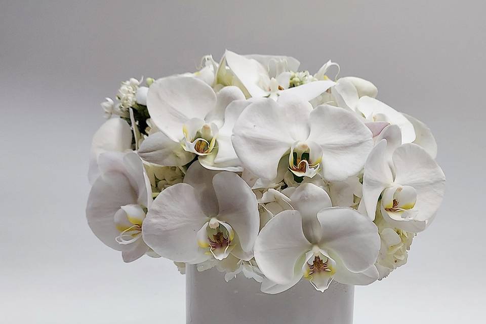 Phalaenopsis centerpiece