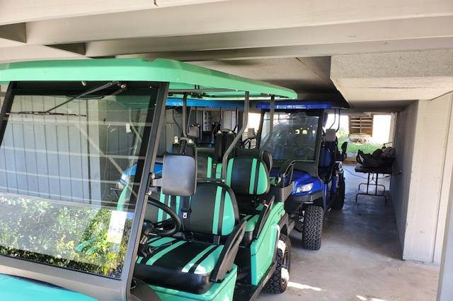 A pack of golf carts waiting