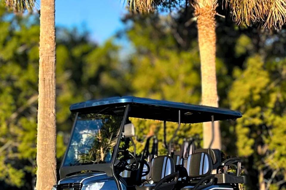 Golf Cart gazing into the sun