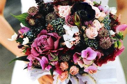 Jen Molander Photography
