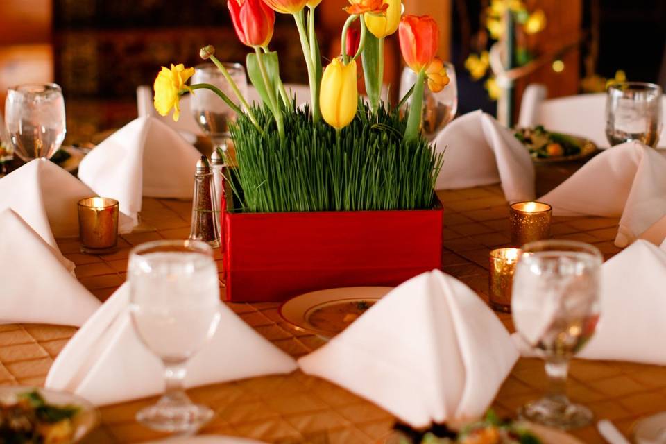 Charming place setting sprinkled with tulips in one of our rustic wedding barns.