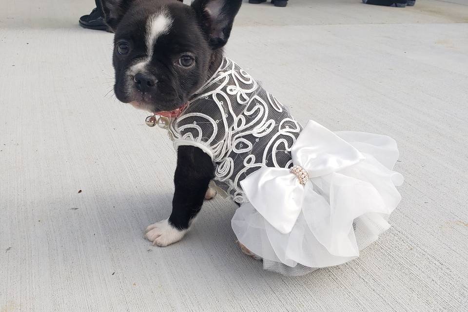 Cutest bridesmaid