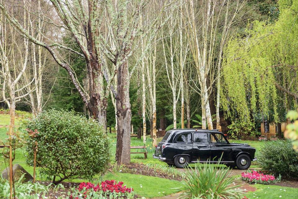 1965 London Taxi