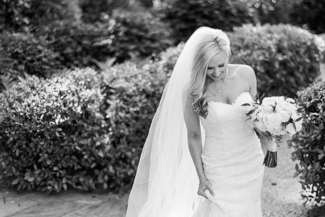 Bamber Photography