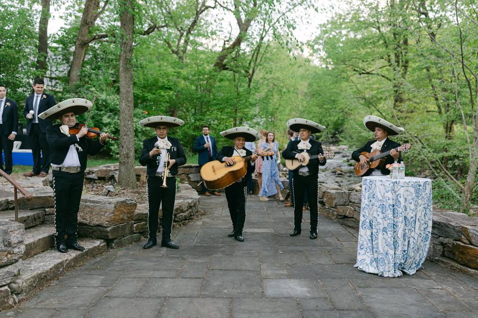 Mariachi Band