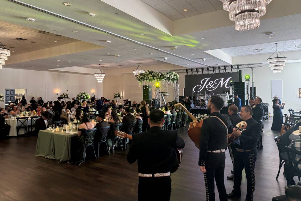 Wedding