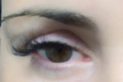 3D Volume Lash & Brow Studio