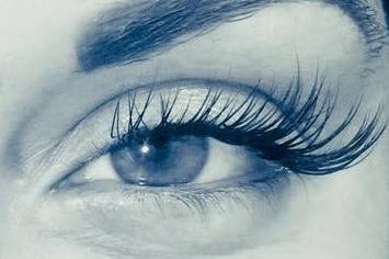 3D Volume Lash & Brow Studio