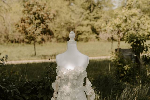 The Dress