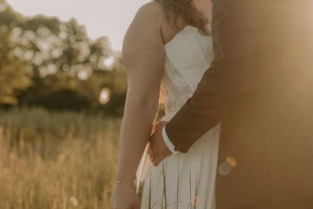 Dreamy Sunlight