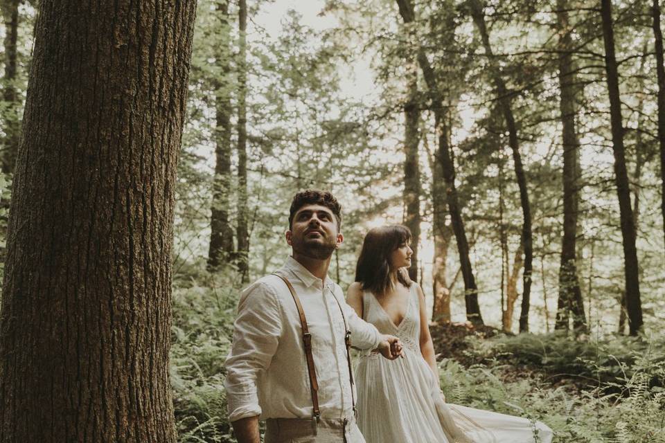 In the Forest