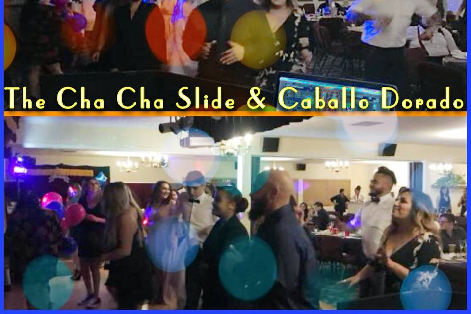 Cha Cha Slide & Caballo Dorado