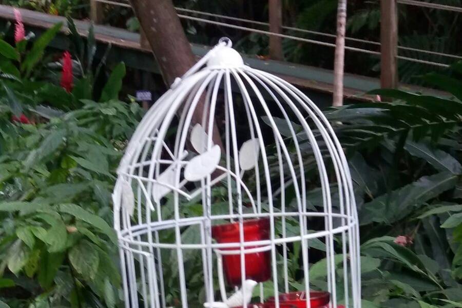 Bird cage decor - Exquisite Events Planning and Production