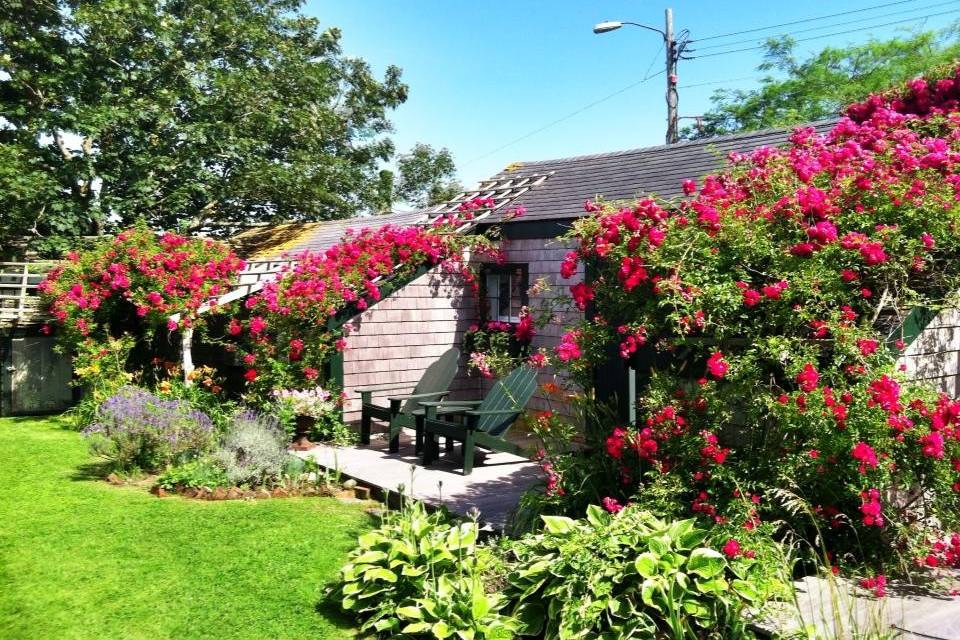 The Summer House - rose-covered cottages