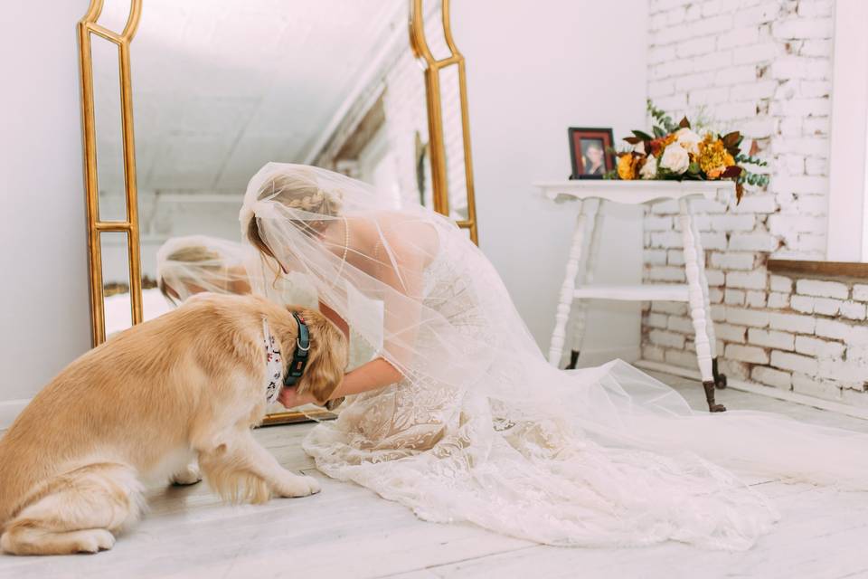 Bride & dog