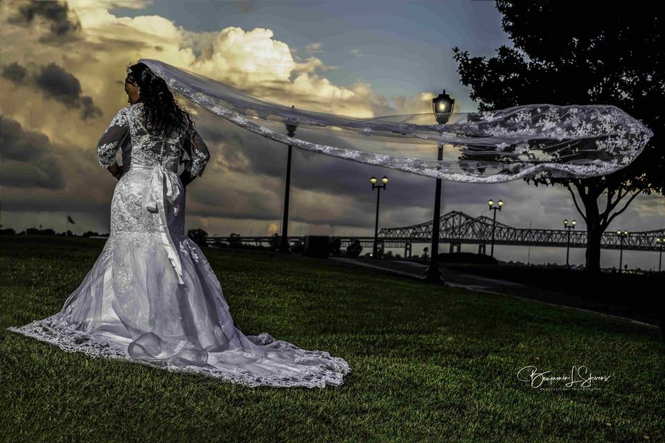 A view of the dress and veil