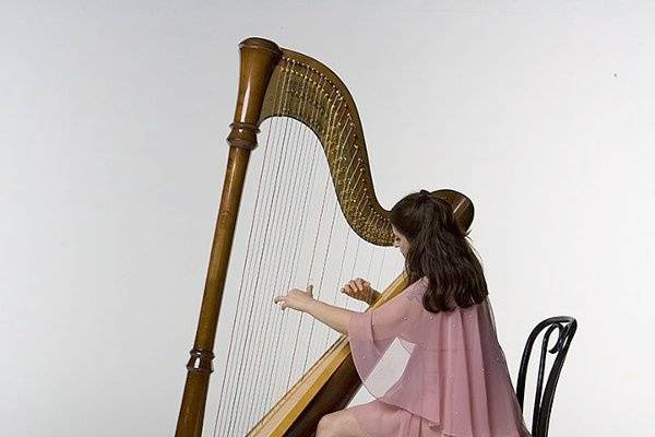 The harpist