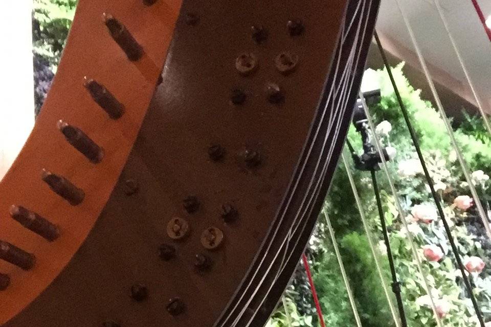 Harpist through the strings
