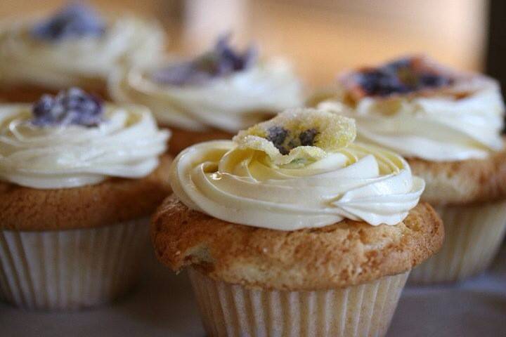 Cupcakes & Pansies