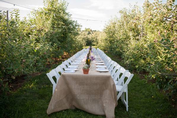 Orchard Reception