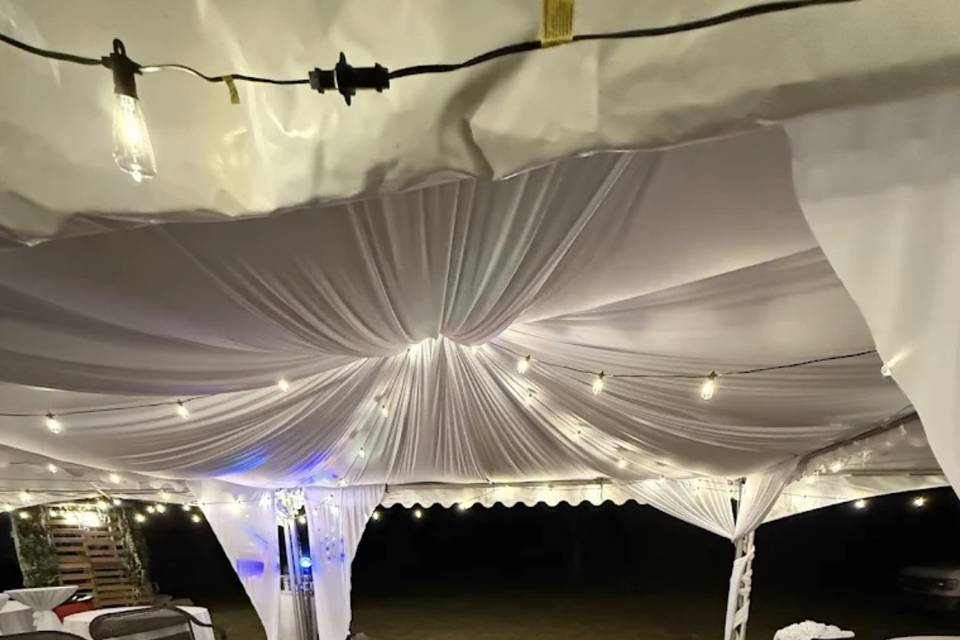 Drape, Dancefloor, and Lights