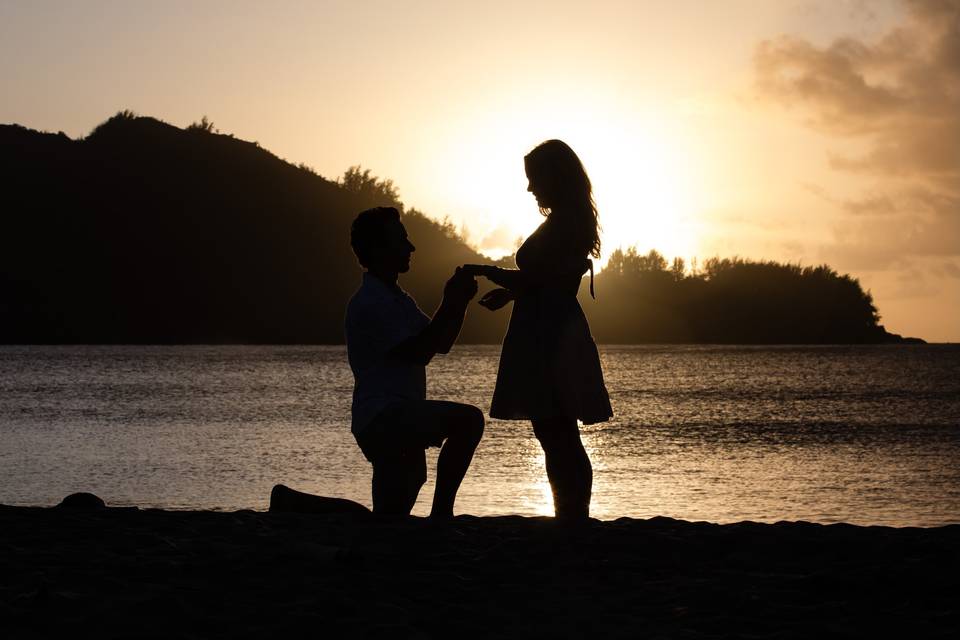 Surprise proposal