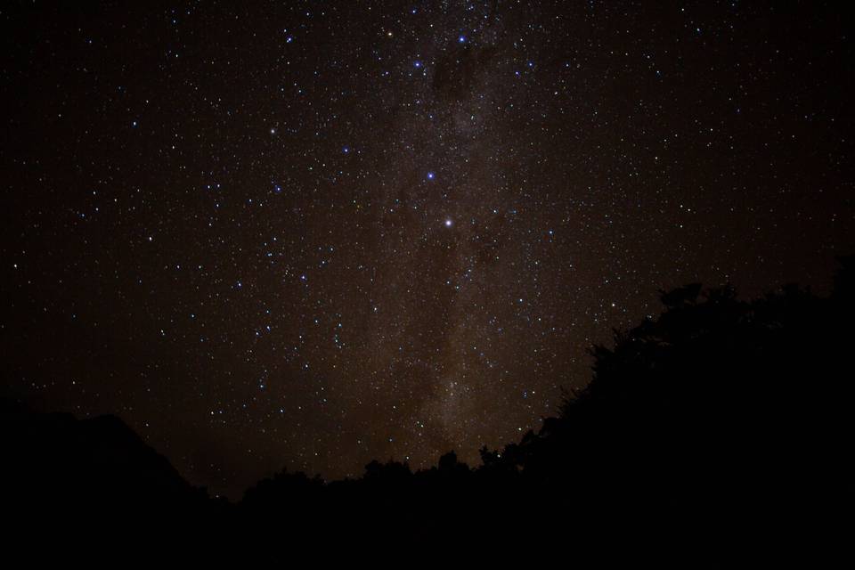 New Zealand stars ✨