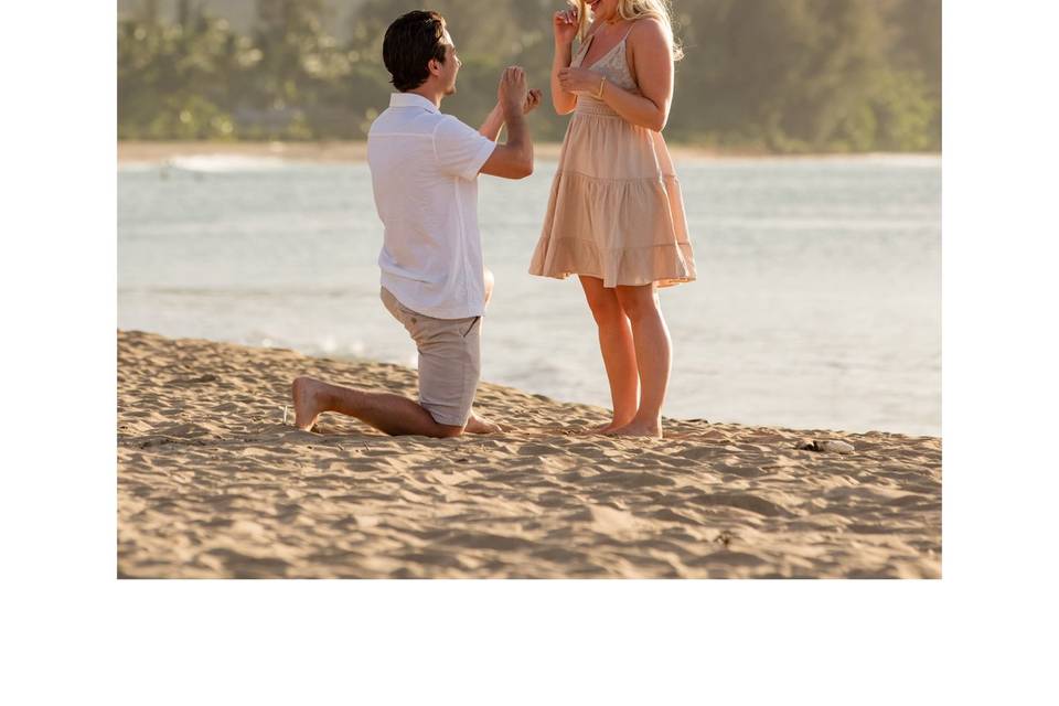 💍 Surprise proposal 💍
