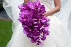 Art In Bloom